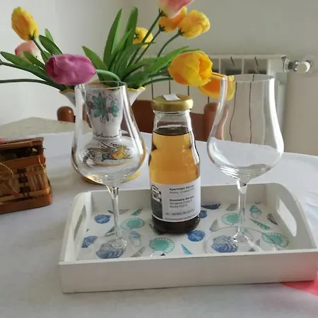 Apartment Cozy And Quiet Kercan With Free Bike Use